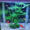 Aquarium Artificial Vivid Simulation Bluestone Bamboo for Fish Tank Water Plants Landscape