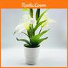 Lilium Brownii Var Viridulum Baker Potted Plant For Living Room Decor