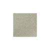 Papier scrapbooking:Poudre de paillettes, 30,5x30,5cm, 200 g/m2, argent irisé
