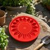 Sunflower Stepping - DIY Concrete for Garden Path, Walkway, or Patio