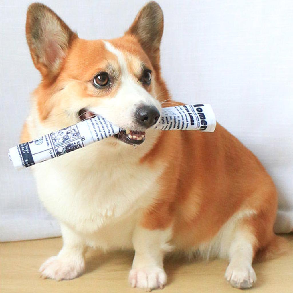 Interactive Unstuffed Dog Chew Toy for Small and Medium Dogs Squeak Toy Newspaper Reducing Boredom & Anxiety