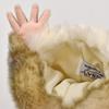 Bh7357 Hansa Hansa Hand Puppet Blush Tail Possum 45