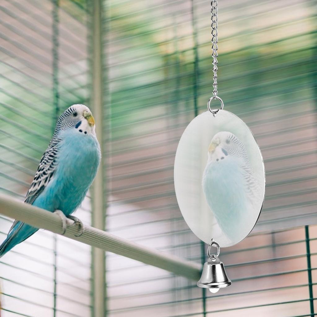 Stainless Steel Pet Bird Cage Mirror with Bell Parrot Playing Hanging Biting Toychain Type