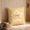 Pillow Case luxurious home office, sofa decorative Multi sized car seat cushions, pillowcases T-Tsukasa T-Tenma