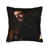 Baelor Targaryen Pillow Case Novelty Pillow Cover Design Pillowcases For Living Room Sofa