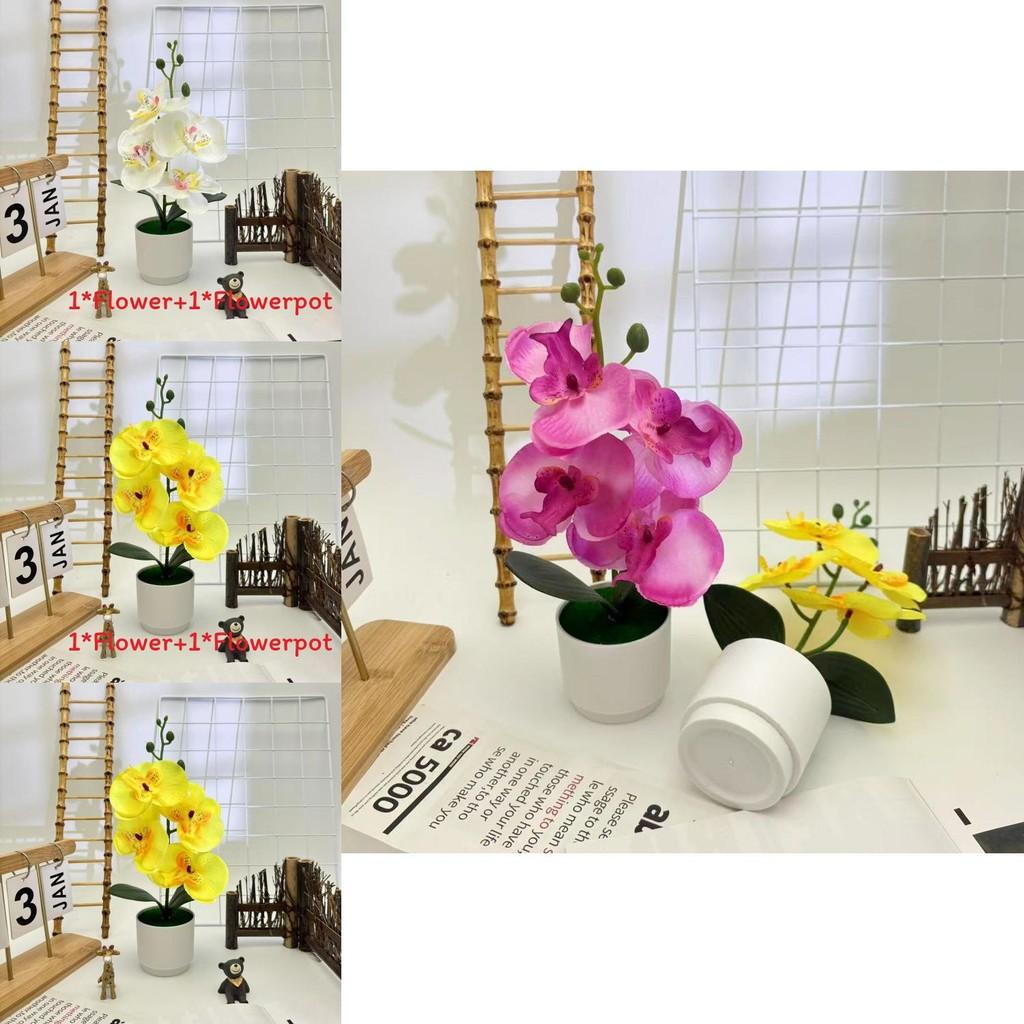 Butterfly Orchid Synthetic Flower With Silk And Plastic Materials For Indoor Events And Photography