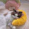 Warm Pet Sleeping Pillow Soft Cat Neck Pillow Practical Pet Calming Toy  For Cats Puppy