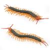 Miniature Fake Centipede Toy With Pvc Material For Prank And Halloween Decor