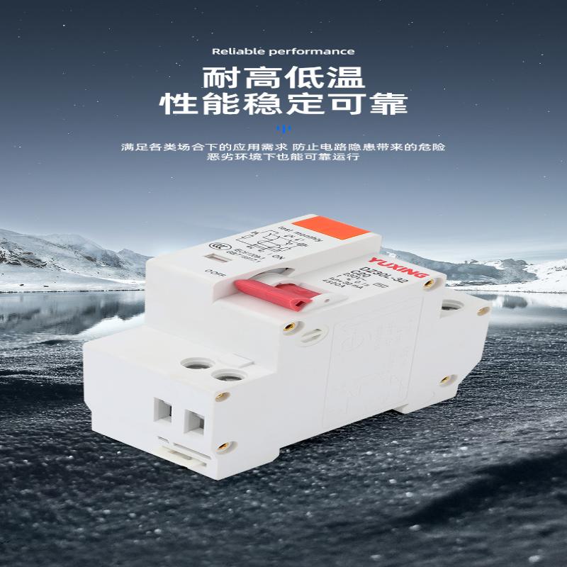 DZ30LE Residual Current Circuit Breaker 230V 1P+N Residual Circuit Breaker With Over And Short Current Leakage Protection RCBO M