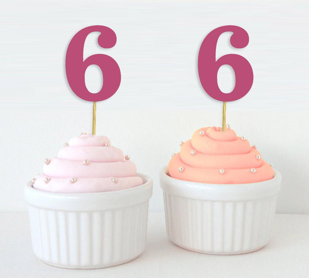 Darling Souvenir| Number 6 Birthday Year Cupcake Toppers| Birthday  Anniversary Party Dessert Decorations - Pack Of