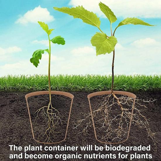 10/20 st plantskolakrukor med fuktkupol Miljövänlig allmänt använd biologiskt nedbrytbar startkrukaplanteringsbehållare