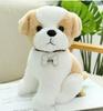 Teddy Dog Plush Toy: Husky Puppy with Nameplate & Dog Claw Machine Accessory