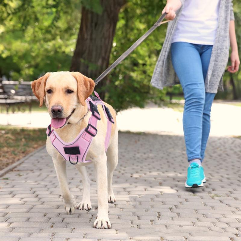 Multi D-ring Reflective Velcro Dog Harness