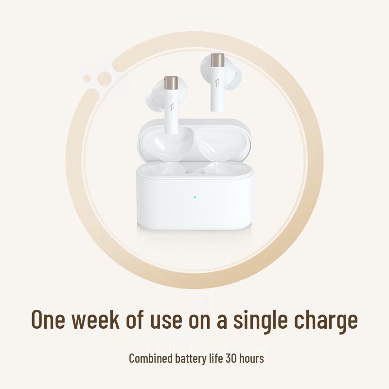 1MORE Q30 ANC True Wireless Earbuds