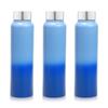 Stainless Steel Water Bottle 1 Ltr For Kids, Boys, Girls, 1 Litre Bottles for Gym, Fridge Use, School & Office (Steel Cap - Set of 3, Blue Blue)