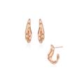 Silver Earrings Sc1579