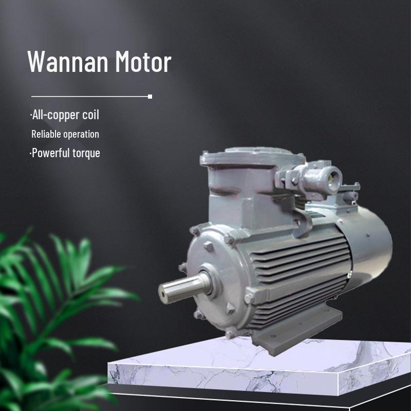 YBBP Series Explosion-Proof Variable Frequency Three-Phase Asynchronous Motor
