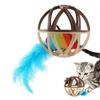 Cat Ball Toy  Interactive Sound Ball For Cats And Dogs, Kitten And Puppy Compatible, Indoor Play, Chew And Training