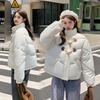 Chaquetas y abrigos – Chaquetas