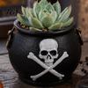 Trendy Plant Gift for Friends Witches Cauldron Planter, Halloween Skull Flower Pot, Gothic Resin Table Centerpiece Black Pot Candy Bowl Herbs, Indoor,