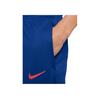 Nike Solid Color Logo Cuffed Knit Joggers Men bottoms Blue FJ2333-418