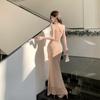 Mesh Hollowed-out Slanted Shoulder Dress, Sexy Spice Girl Waist and Hip Design, Fishtail Long Dress, Female Summer