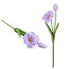 Twig - Lilac Foam Tulip 53 Cm