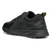 Geox Terrestre Sneakers