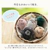 [Stream] Mochimochi Animal Mascot Keychain Plush Toy, Fluffy, Cute Animal Character Bag Charm Gift, American Shorthair Cat, Delivery Service 100