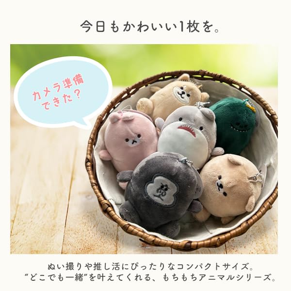 [Stream] Mochimochi Animal Mascot Keychain Plush Toy, Fluffy, Cute Animal Character Bag Charm Gift, American Shorthair Cat, Delivery Service 100