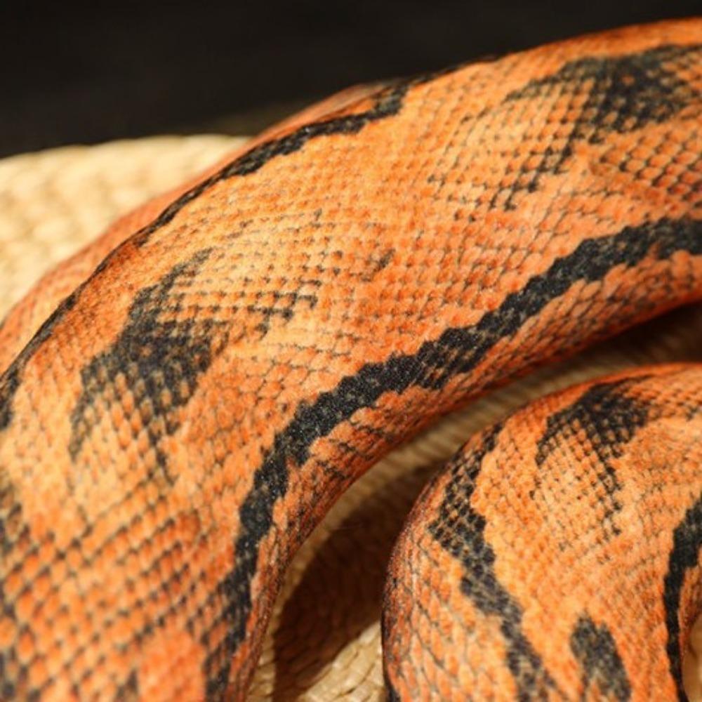 Simulation Artificial  Python Plush Toy Stuffed Animals Long Snake Doll Reptile  Home Decor