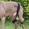 Yousheng Dog Knee Brace Pet Puppy Knee Pad Adjustable Dog Leg Brace Small Medium Large Dogs Support Brace Injury Joint Wrap Recover Protector