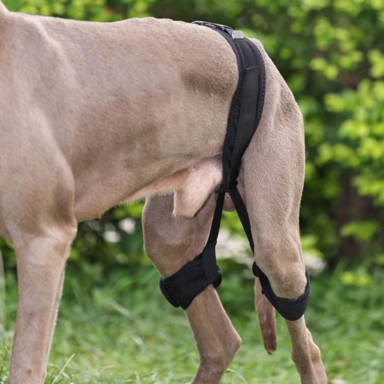 Yousheng Dog Knee Brace Pet Puppy Knee Pad Adjustable Dog Leg Brace Small Medium Large Dogs Support Brace Injury Joint Wrap Recover Protector