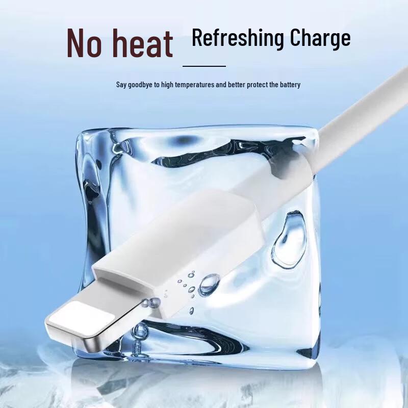 30W Fast Charger & Data Cable for Apple AirPods Pro 1/2 Bluetooth Earbuds