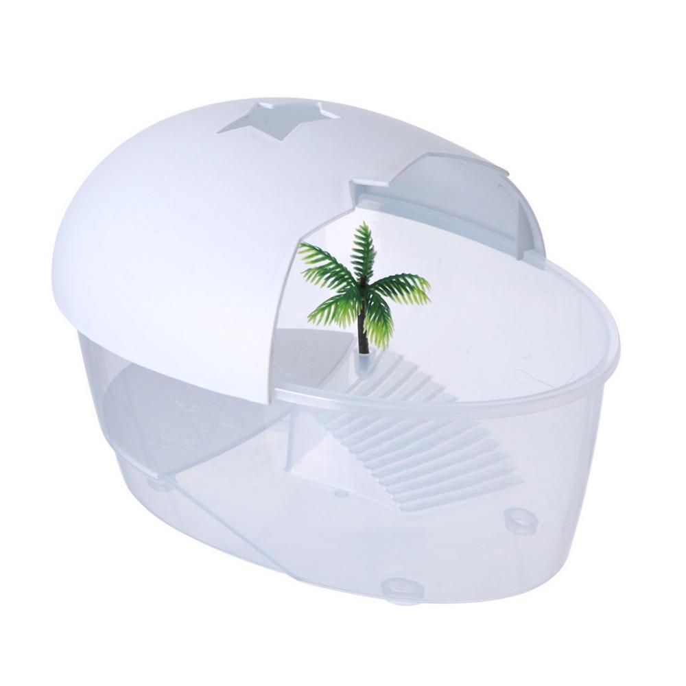 With Cover Turtle Hydroponic Box Recyclable Egg-shape Container Box  Terrarium Habitat