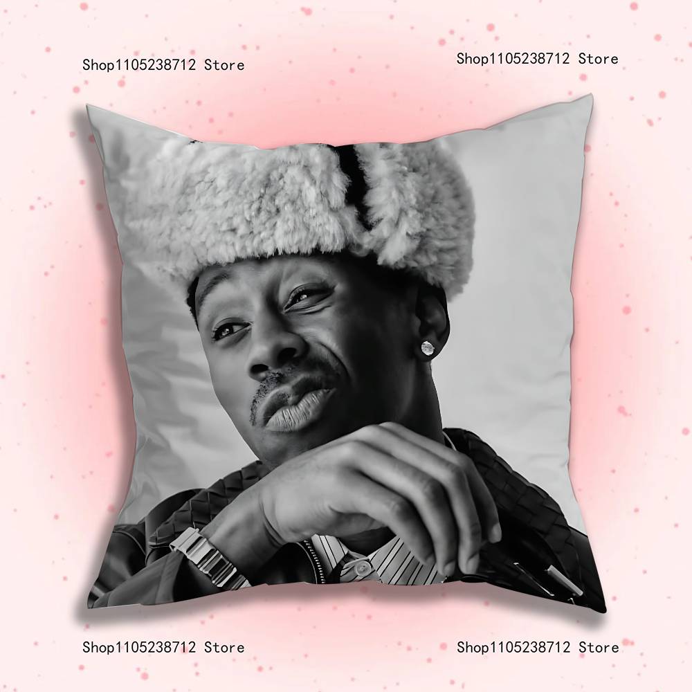 Подушка с принтом T-Tyler Funny C-Creator, чехол из плюша, мягкий чехол для подушки, двусторонняя печать, чехол для диванной подушки, покрывало 12x12Inch