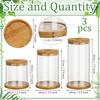 3 Sizes Plant Propagation Station Separated Glass Plant Terrarium Water Hydroponic Planter Holder with Lid