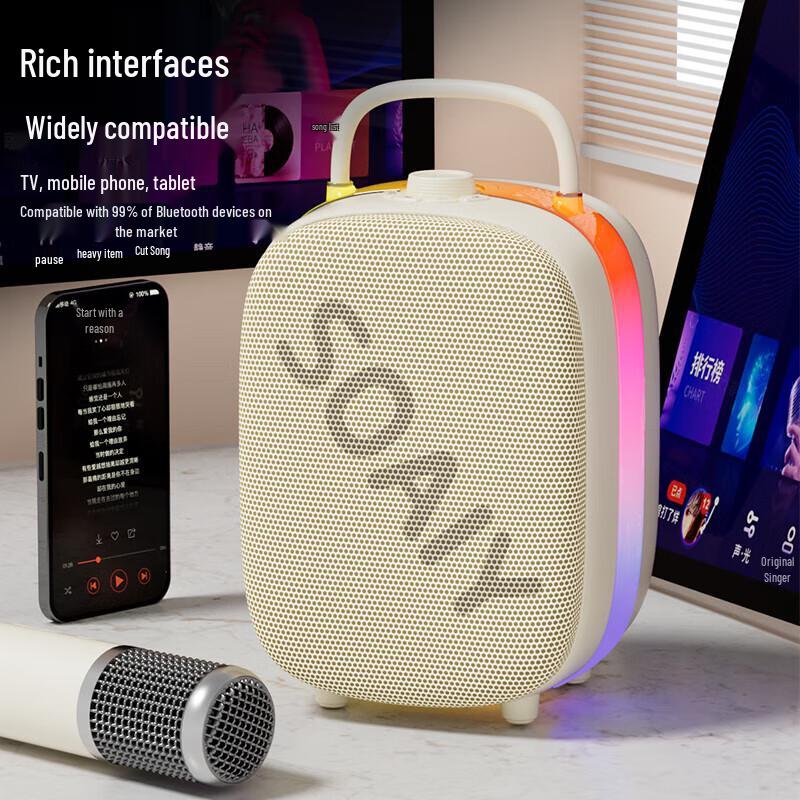 Soai SSK02 AI Karaoke Speaker with Dual Microphones