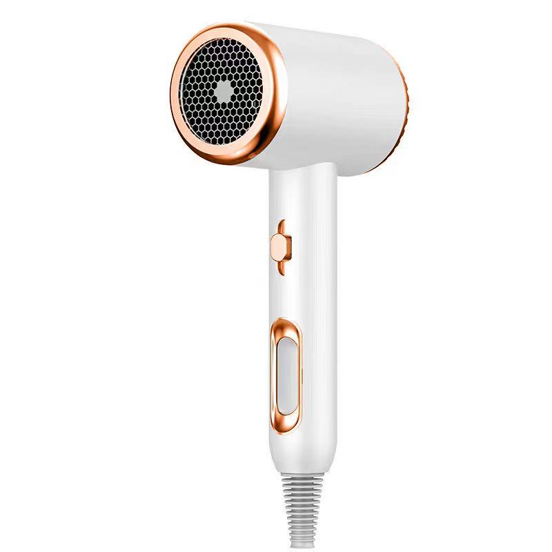 Professional Hair Dryer for Home, Dorm, and Salon Use