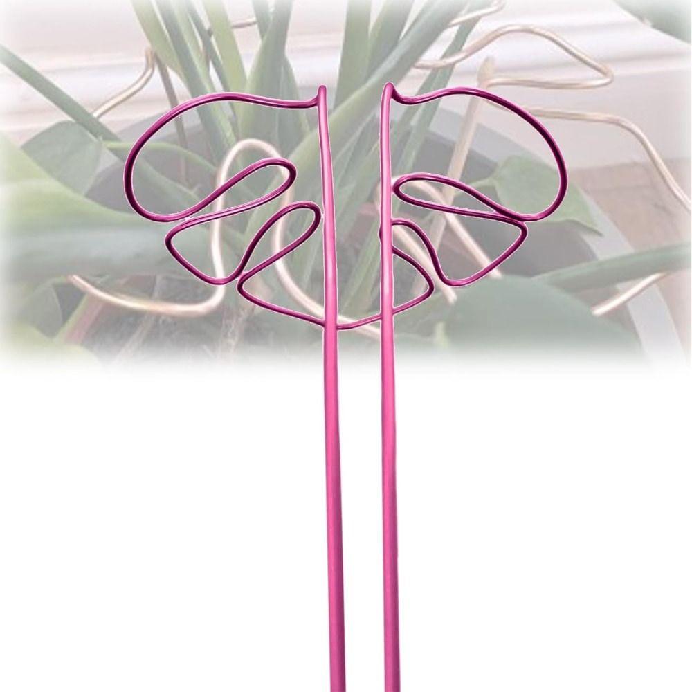 Support Branches Plant Support Ring Garden Tools Plant Retaining Support  for Flower Lovers