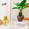 Indoor Hydroponic Plant Pot Clear Vase Glass-Like Plastic Holder Modern Vase for Plants Table Centerpiece Home Desk Shelf Decoration Transparent