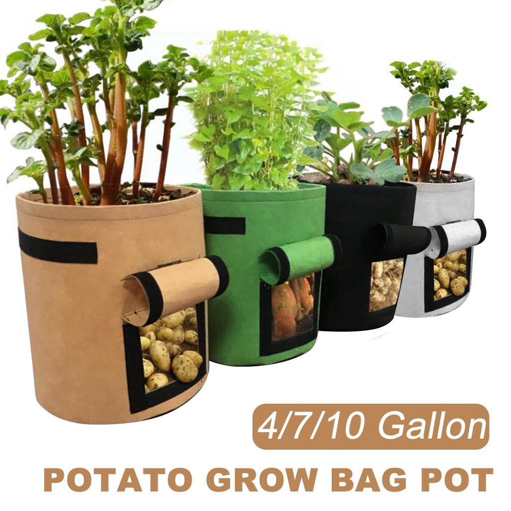 30*35cm Potato Bags Tomato Veg Durable Re-Usable Balcony Patio Planters Grow Bag