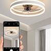 19.6 inchs Adjustable Brightness Electric Ceiling Fan Light DC Motor Strong Wind Ceiling Fan Bedroom LED Lighting Fan Lamp