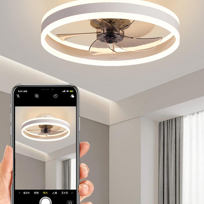 19.6 inchs Adjustable Brightness Electric Ceiling Fan Light DC Motor Strong Wind Ceiling Fan Bedroom LED Lighting Fan Lamp