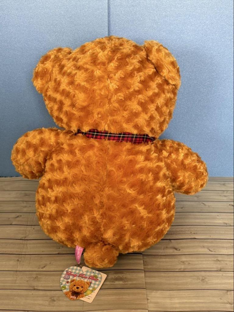 [USED] Lovely Rose Bear 2 with Tag, Stuffed Bear, Teddy Bear