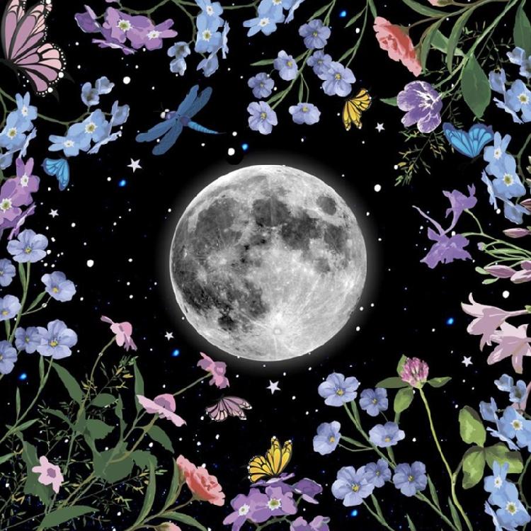 50x50/60x60/75x75cm Tarot Tablecloth Mat Divinations Board Game Oracles Card Pad