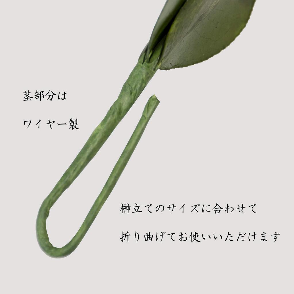 A&K Premium Preserved Sakaki Trees, Medium (1 Pair), Made in Japan, MKS-04M