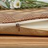 Summer Rattan Cool Cushion High Elastic Memory Cotton Dining Chair Mat Anti-slip Seat Cushion with Buckle at The Bottom