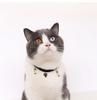 Velvet Bronzing Adjustable Cat Necklace Pet Fishbone/Snowflake /Starry Sky Collar for Puppy Exquisite Decoration Pet Accessories