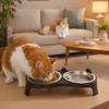 Stainless Steel Pet Double Feeder Bowl Large Capacity No Spill Slow Feeder Bowl Anti-Tip Non-Skid Base Cat Water Bowl Multi-Pet